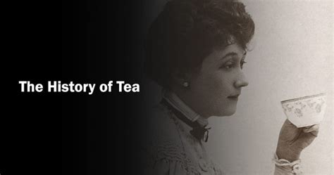 The History of Tea » BeverageClass