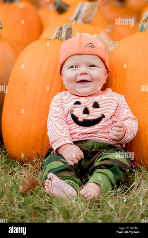 Autumn Fall Halloween Pumpkin Baby Stock Photo - Alamy