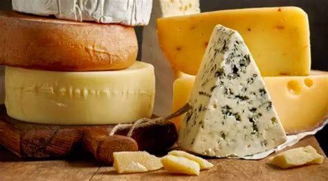 National Cheese Lovers Day – January 20, 2024 | Weird and Crazy Holidays