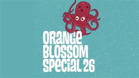 Orange Blossom Special 2024 Lineup - May 17 - 19, 2024