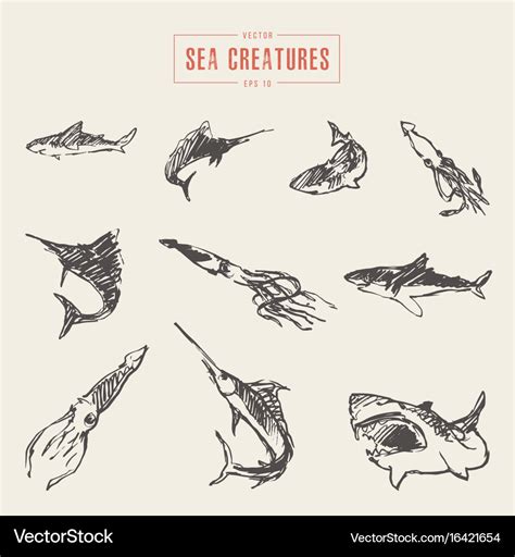 Set realistic sea creatures drawn sketch Vector Image