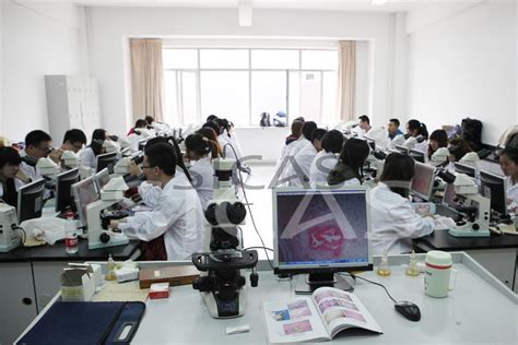 dalian medical university fee structure – CollegeLearners.com