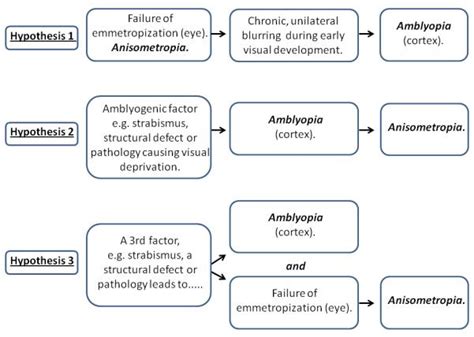 When Does Anisometropia Occur? » Eye Surgery Guide