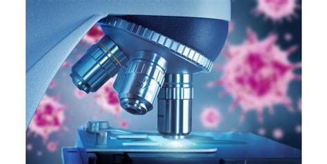 Observe Bacteria Under a Microscope with Different Types of Microscopes