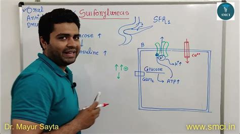 Oral Antidiabetic Drug | Sulfonylureas | Glyburide | Glipizide | Mechanism of Action ...