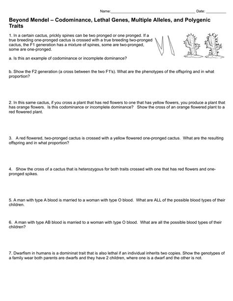 Codominance And Multiple Alleles Worksheet - Free Printable