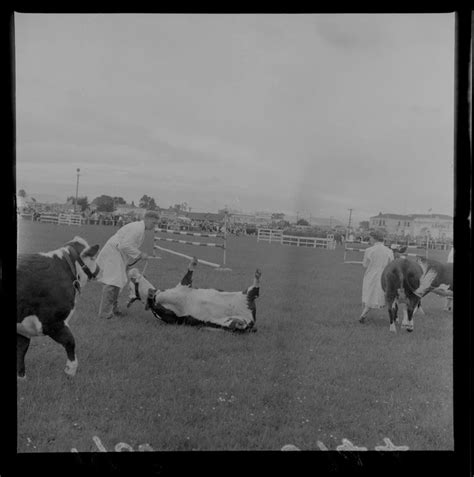 Carterton Agricultural and Pastoral Show | Items | National Library of New Zealand | National ...