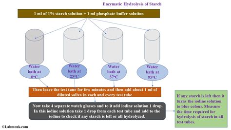 Study of Enzymatic Hydrolysis of Starch - Labmonk