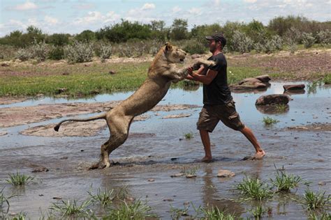 This Man Rescued A Lioness And Now He's Teaching Her To Hunt