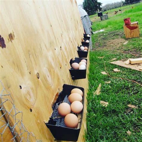 Roll Away Chicken Nest Box Plans