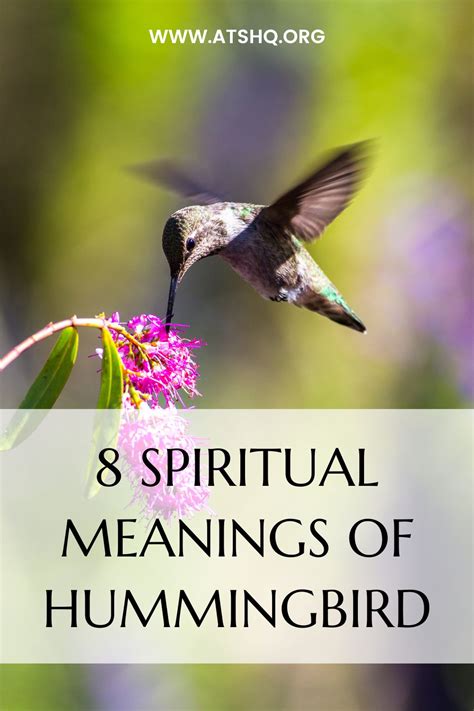 Hummingbird Symbolism: 8 Spiritual Meanings of Hummingbird (2023)