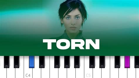 Natalie Imbruglia Torn Chords, 45% OFF