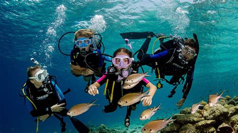 3 Best Places To Scuba Dive