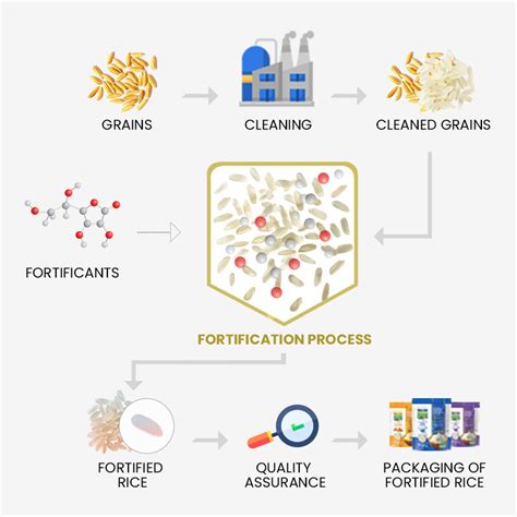 Fortification of Rice - Process and Benefits - Fortigrains Lanka Pvt.Ltd