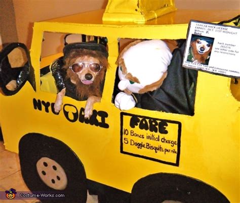 New York City Taxi Driver - Costume Ideas for Pets | DIY Costumes Under $25 - Photo 3/6