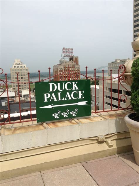 The Peabody Hotel Rooftop MEM Aug. 7, 2013 | Peabody hotel, Interior ...