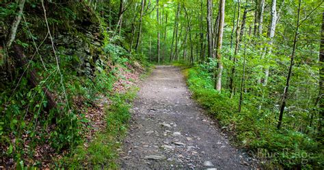 Big Creek Trail – Great Smoky Mountains National Park