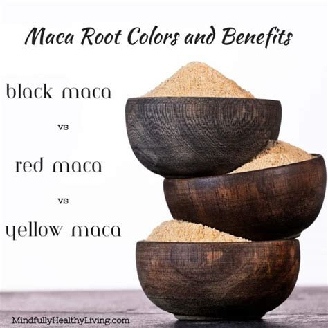 Black Maca vs Red Maca vs Yellow Maca Differences + Benefits