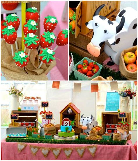 Southern Blue Celebrations: FARM THEME PARTY