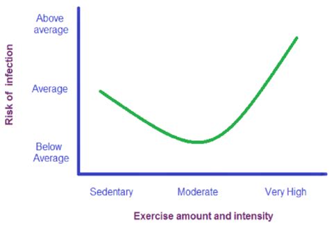 J-Curve Model proposed by Nieman. It is demonstrated that people with a... | Download Scientific ...