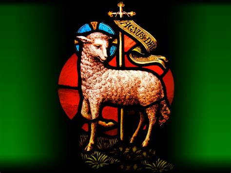 Holy Mass images...: Lamb of God/ Agnus Dei