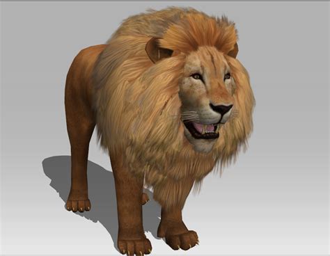 3D Lion 3D Model in Other 3DExport