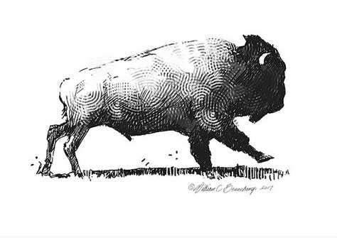 Stippling Tattoo, Stippling Art, Buffalo Animal, Buffalo Art, Native Artwork, Native American ...