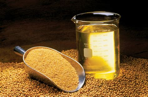 FDA: Soybean oil can now tout heart health benefits | AGDAILY