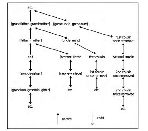 Simplified kin term map for the English kinship terminology Affinal ...