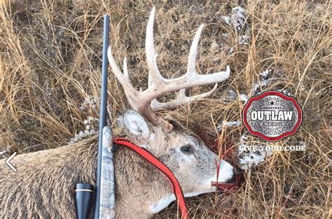 5 Whitetail Deer Hunting Tips on Opening Day