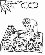DESENHOS DE HORTA PLANTAÇÃO PARA COLORIR PINTAR IMPRIMIR OU PREPARAR  sketch template