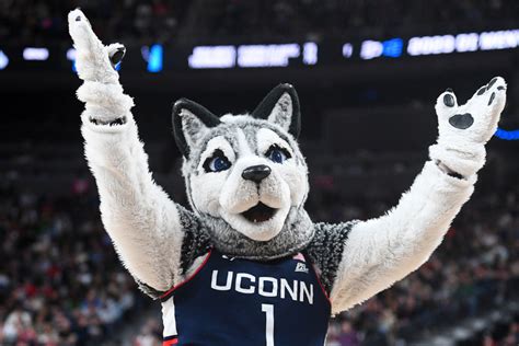 UConn Huskies Final Four: The Storrs Rebuild Appears Complete