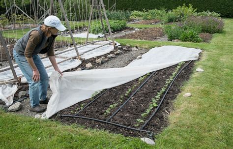 Row Covers | Lopez Island Kitchen Gardens