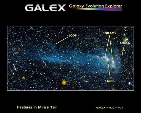 Mira (Omicron Ceti): Star System, Facts, Name, Location, Constellation | Star Facts