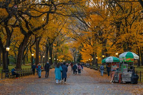 Exciting Things to do in NYC in October | Brooklyn news