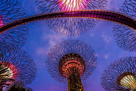 Gardens by the Bay: night illumination and show! | KOSUBLOG