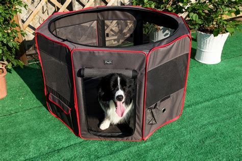 Petsfit Portable Foldable Pop Up Dog Playpen Exercise Pen - Dogs Dogs ...