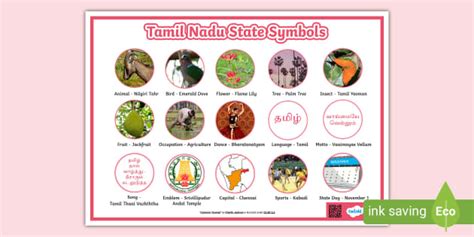 Tamil Nadu State Symbols - Posters (teacher made) - Twinkl