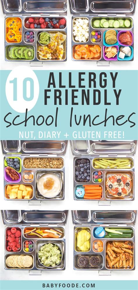 10 Allergy-Free School Lunch Box Ideas for Kids - Baby Foode