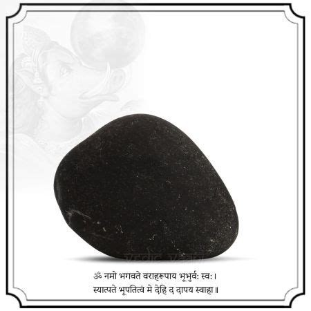 Buy Varaha Vishnu Shaligram Sacred Stone Puja Set - Vedic Vaani