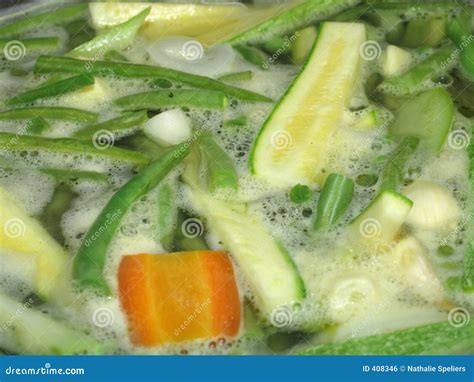 Boiling Vegetables stock photo. Image of broth, produce - 408346