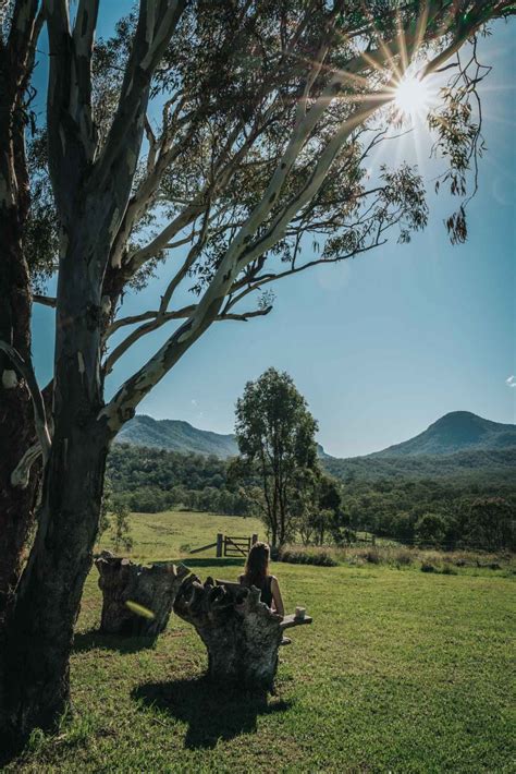 Hiking the Scenic Rim Trail in Queensland, Australia | Drink Tea & Travel