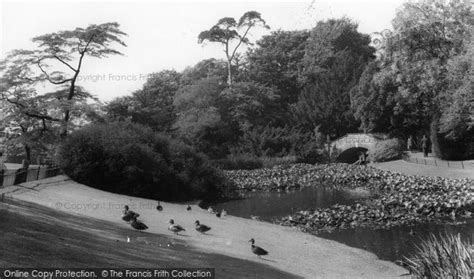 Photo of Golders Green, The Pond, Golders Hill Park c.1960