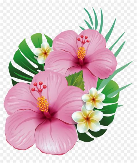 Download Free Flower Clipart On ClipartMax - Need Circle