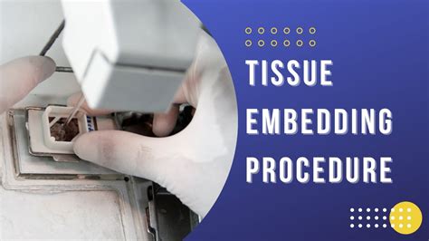 Histology Embedding process | Embedding technique (Histology) - YouTube