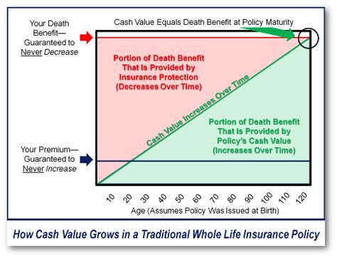 How Whole Life Insurance Works – Bank On Yourself