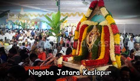 Nagoba Jatara Keslapur | Nagoba Temple Adilabad | Telangana Tourism