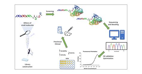 DNA-Encoded Chemical Libraries: A Comprehensive Review with Succesful ...