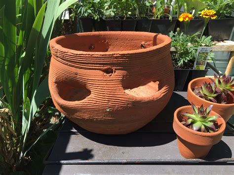 Succulent Pots, Succulents, Planter Pots, Clay Flower Pots, Clay Pots, Strawberry Planters ...