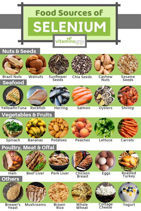 Food Sources of Selenium - The amount of selenium that can be found in food sources corresponds ...